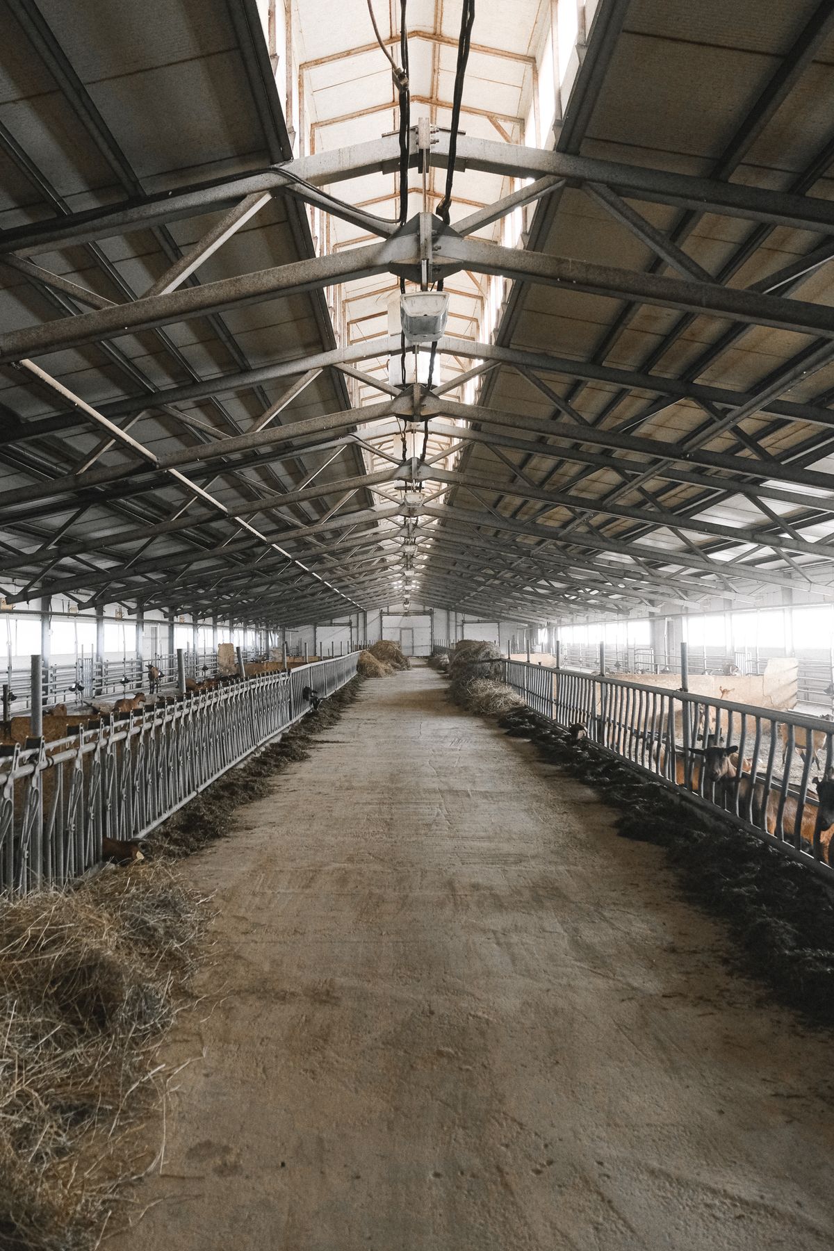 Interior of a steel barn with stalls